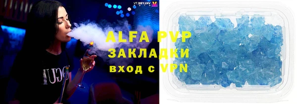 дмт Пересвет