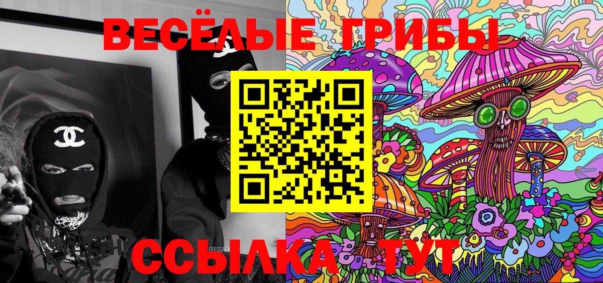 Псилоцибиновые грибы Psilocybe  Вход с VPN  Барнаул 