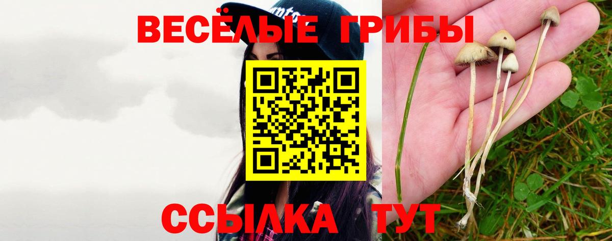 Галлюциногенные грибы мухоморы Барнаул